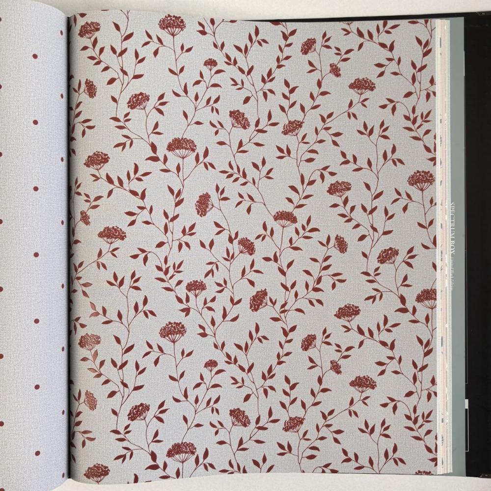 Andrea Rossi Spectrum Box 54456-6