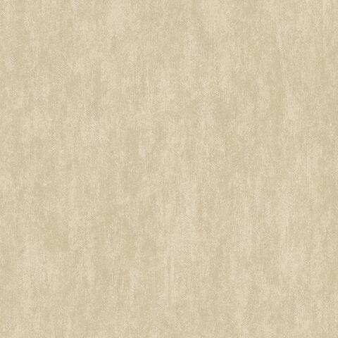 Andrea Rossi Barbana 54289-5 Andrea Rossi Barbana 54289-5