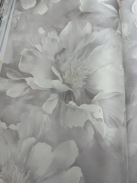 Bristar Felice DF 20450