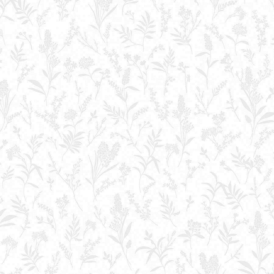 Andrea Rossi Spectrum Just 54474-1