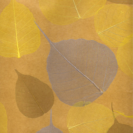 Cosca Лакшери Листья Прима Дорадо, 10х0,91 м