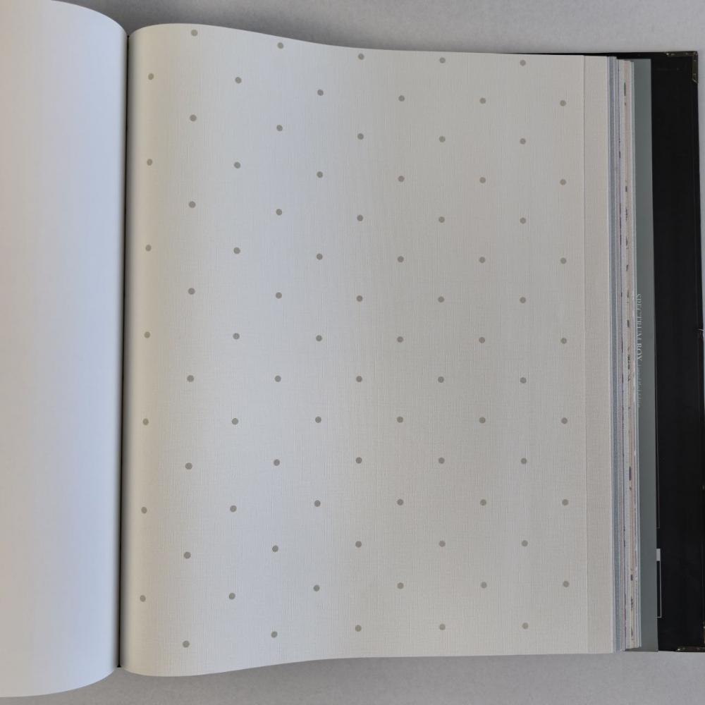 Andrea Rossi Spectrum Box 54454-1